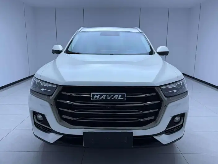 Haval H6 2021 Model Guo Trendy Edition 1.5T Automatic Champion Edition – фото 2