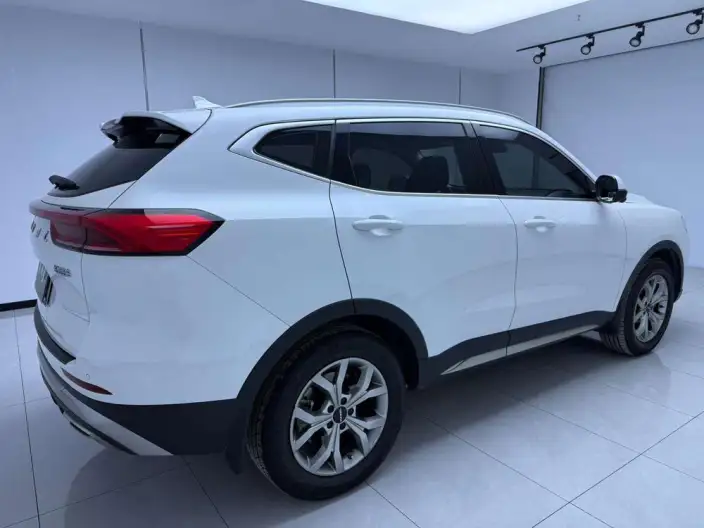 Haval H6 2021 Model Guo Trendy Edition 1.5T Automatic Champion Edition – фото 5
