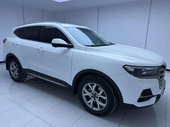 Haval H6 2021 Model Guo Trendy Edition 1.5T Automatic Champion Edition – фото 6