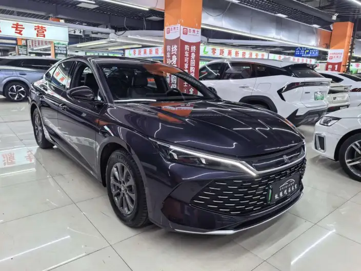 QinL DM 2025 Model Smart Driving Edition DM-i 80KM Leading Model