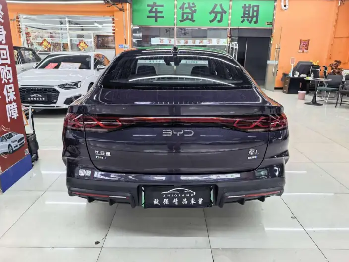 QinL DM 2025 Model Smart Driving Edition DM-i 80KM Leading Model – фото 5