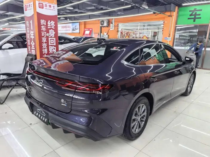QinL DM 2025 Model Smart Driving Edition DM-i 80KM Leading Model – фото 6