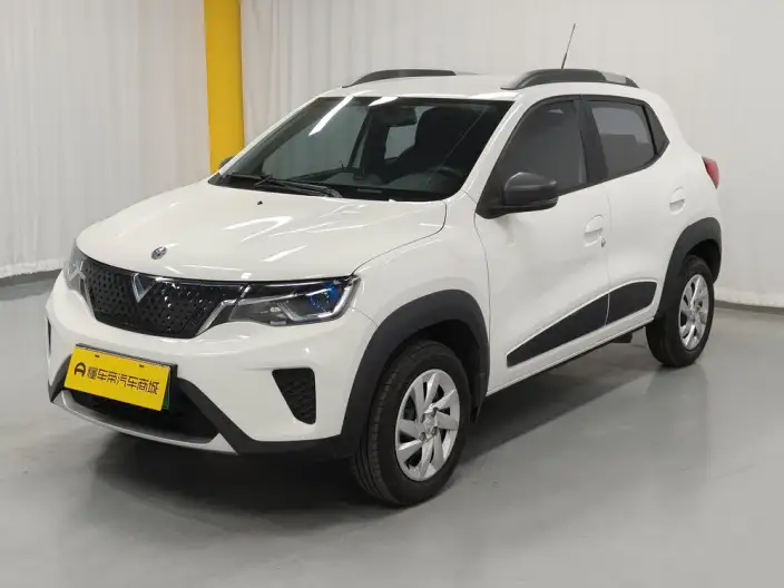 Qichen e30 2021 Model Elite Edition