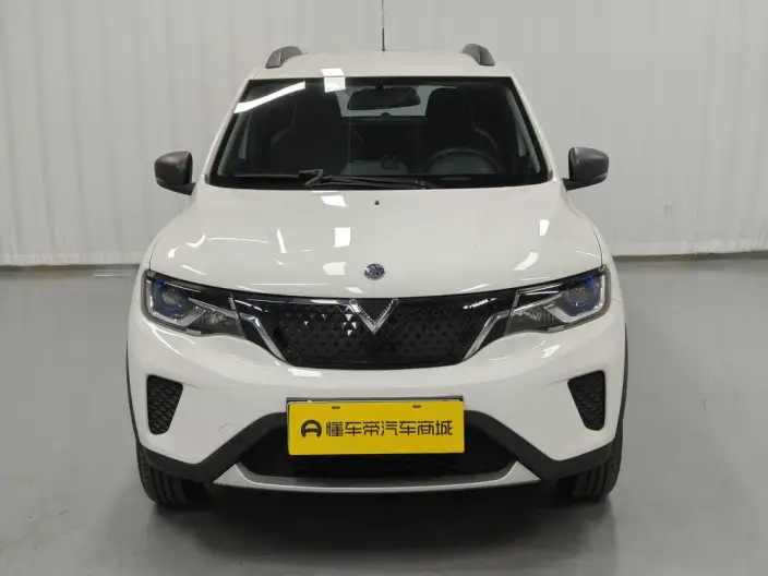 Qichen e30 2021 Model Elite Edition