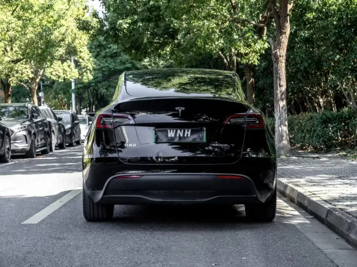 Model Y 2022 Model Facelift Long Battery Life Pro All-wheel drive version – фото 5