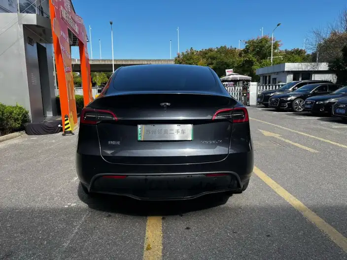 Model Y 2024 Model Rear-wheel drive version – фото 5