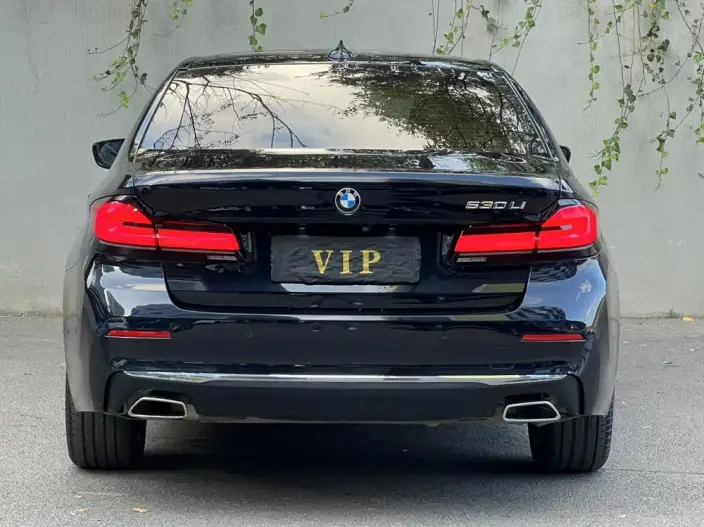 BMW 5 Series 2022 Model Facelift II 530Li Leading Model Luxury Set – фото 5