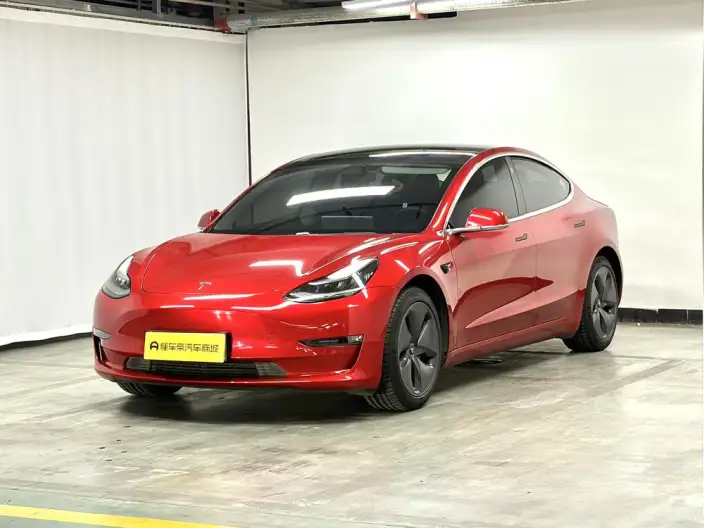 Model 3 2020 Model Long Battery Life Pro Rear-wheel drive version