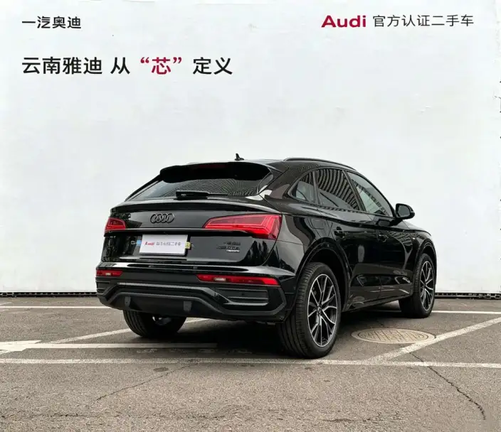 Audi Q5L Sportback 2025 Model quattro 45th Anniversary Collector Edition Edition 45 TFSI Luxury Model – фото 5