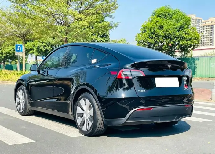 Model Y 2022 Model Rear-wheel drive version – фото 5