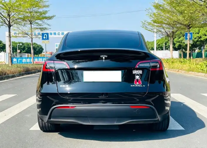 Model Y 2022 Model Rear-wheel drive version – фото 6