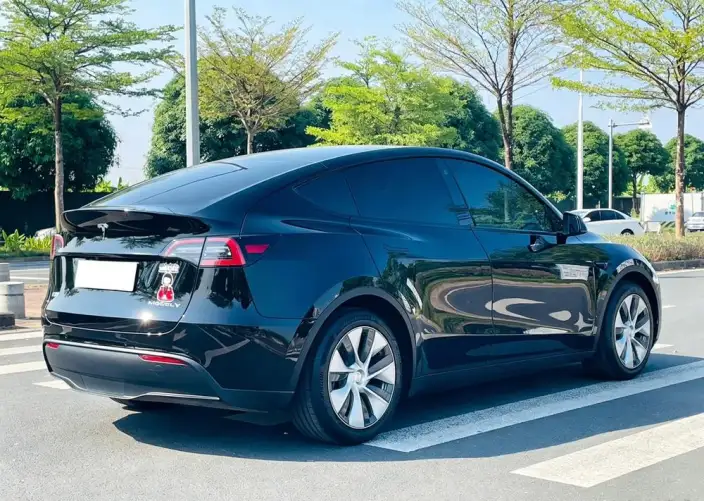 Model Y 2022 Model Rear-wheel drive version – фото 7