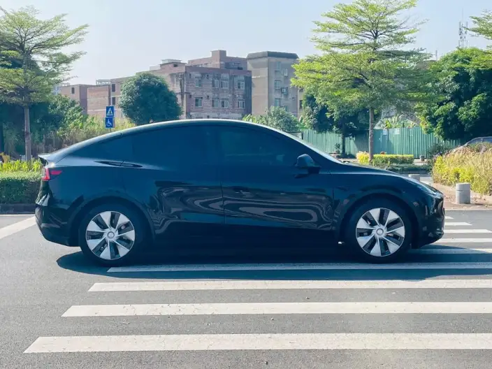 Model Y 2022 Model Rear-wheel drive version – фото 8