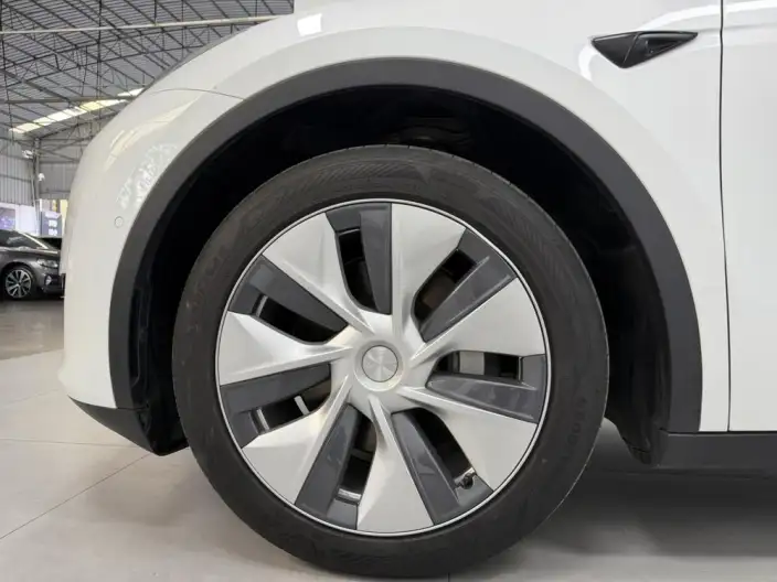 Model Y 2023 Model Rear-wheel drive version – фото 10