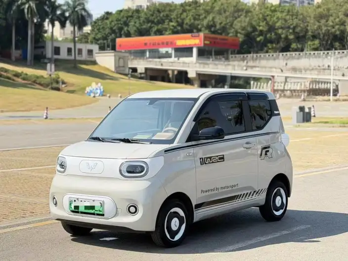 Wuling Hongguang MINIEV 2024 Model 215km Youth Edition Lithium Iron Phosphate