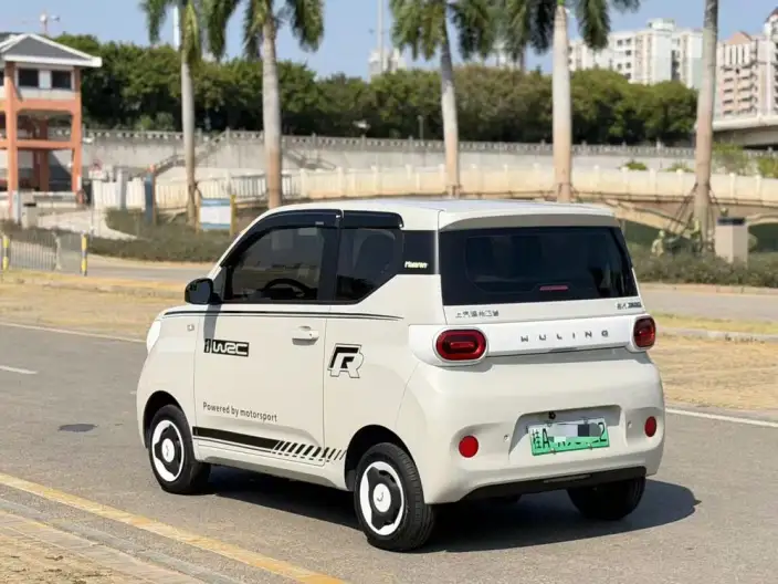 Wuling Hongguang MINIEV 2024 Model 215km Youth Edition Lithium Iron Phosphate