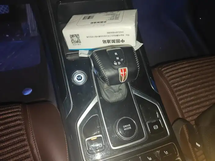 Hongqi HS5 2022 Model Facelift 2.0T Smart Flag Enjoy Edition – фото 9