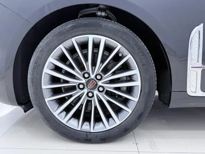 HONGQI H9 2020 Model 2.0T Smart Flag Enjoy Edition – фото 10