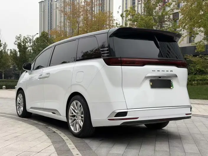 DENZA D9 DM 2022 Model 1040 Noble Model – фото 4