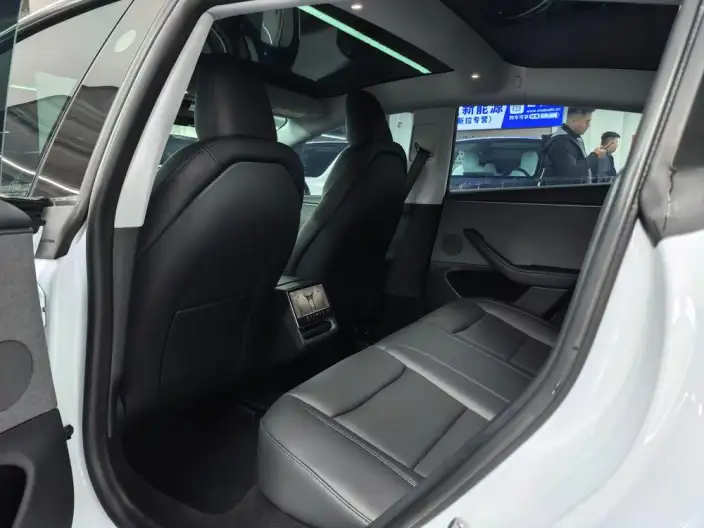 Model 3 2025 Model Facelift Long Battery Life Pro Rear-wheel drive version – фото 9