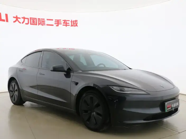 Model 3 2023 Model Long Battery Life Pro All-wheel drive version
