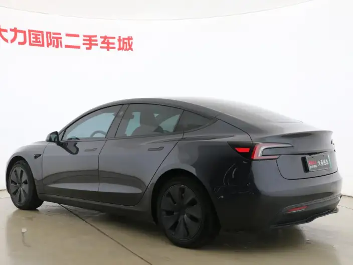 Model 3 2023 Model Long Battery Life Pro All-wheel drive version – фото 5