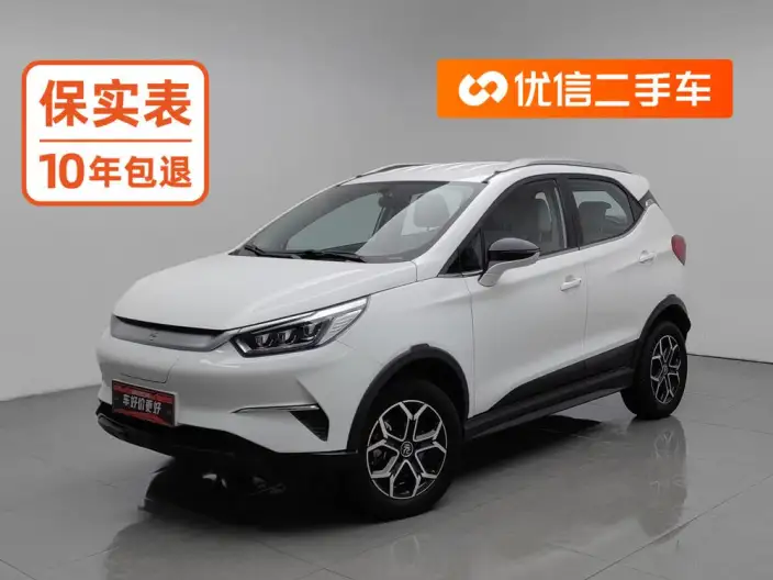 Yuan Pro 2021 Model 401KM Luxury Model