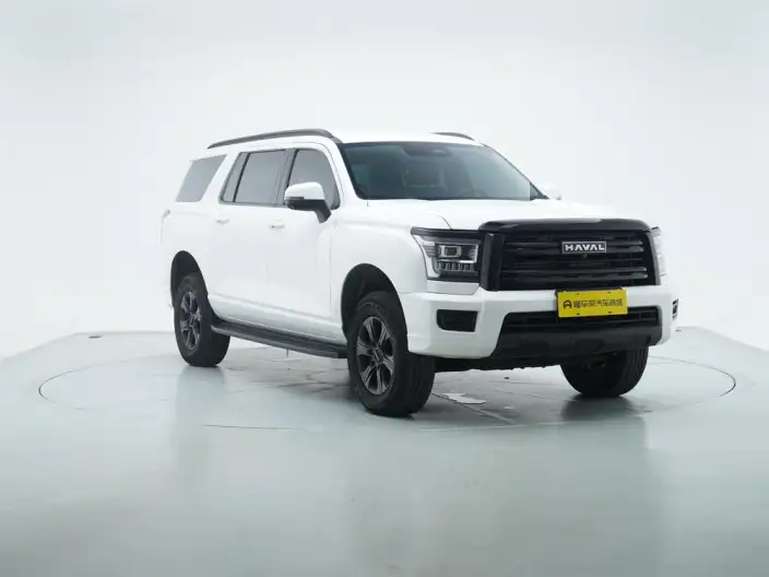 Haval H5 2025 Model 2.0T Petrol Pilot Automatic 4WD – фото 3
