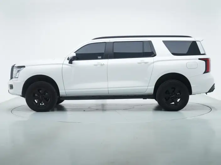 Haval H5 2025 Model 2.0T Petrol Pilot Automatic 4WD – фото 4