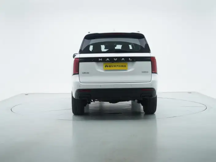 Haval H5 2025 Model 2.0T Petrol Pilot Automatic 4WD – фото 6