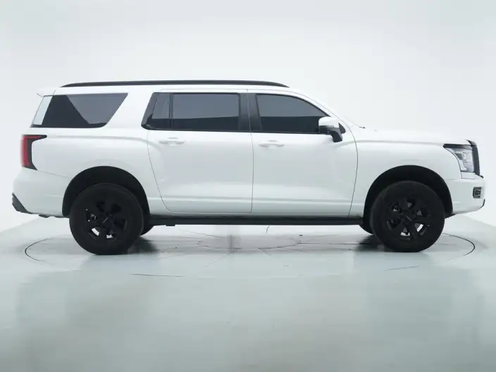 Haval H5 2025 Model 2.0T Petrol Pilot Automatic 4WD – фото 8