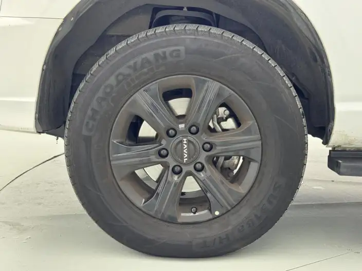 Haval H5 2025 Model 2.0T Petrol Pilot Automatic 4WD – фото 9