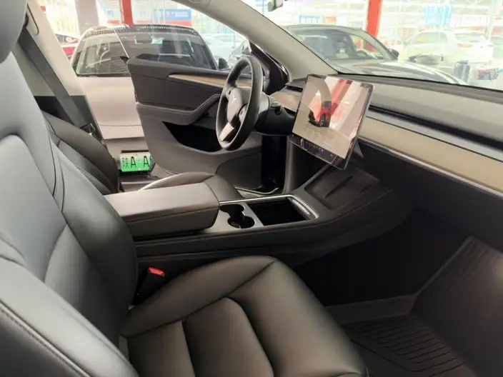 Model Y 2022 Model Rear-wheel drive version – фото 7