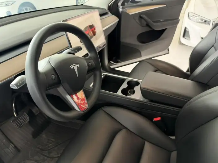 Model Y 2022 Model Rear-wheel drive version – фото 10