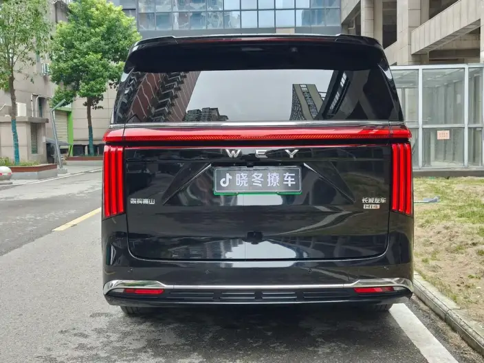 Wey Gaoshan P HEV 2023 Model 4WD Executive Extended Edition – фото 5