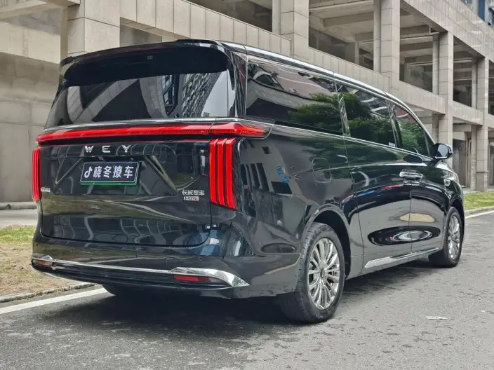 Wey Gaoshan P HEV 2023 Model 4WD Executive Extended Edition – фото 6