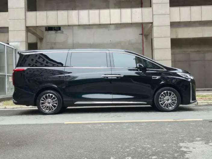 Wey Gaoshan P HEV 2023 Model 4WD Executive Extended Edition – фото 7