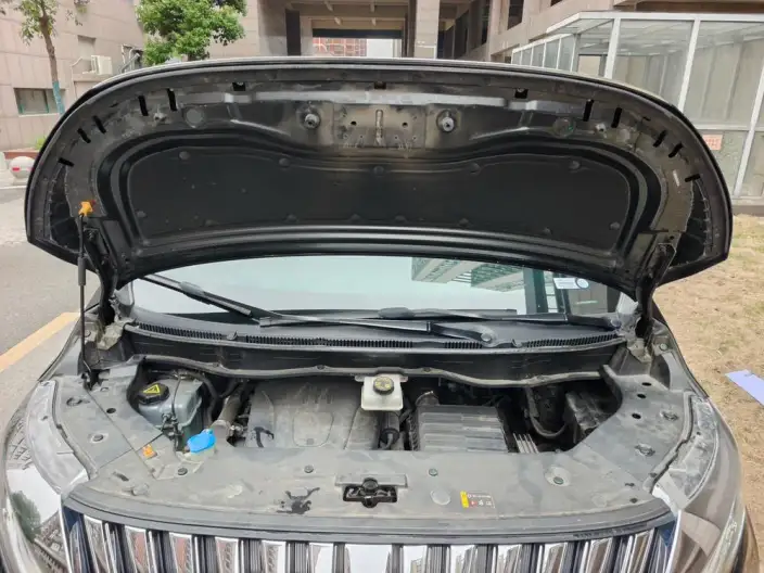 Wey Gaoshan P HEV 2023 Model 4WD Executive Extended Edition – фото 8