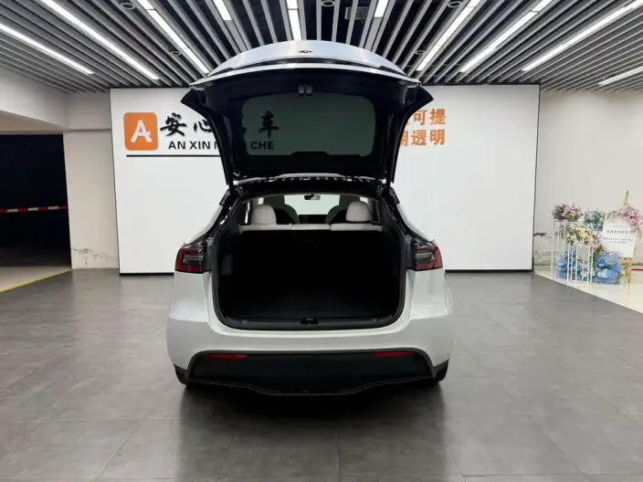 Model Y 2023 Model Long Battery Life Pro All-wheel drive version – фото 9