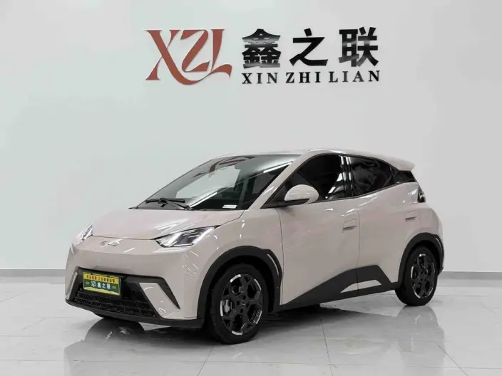 BYD Seagull 2024 Model Honor Edition 305KM Vitality Edition