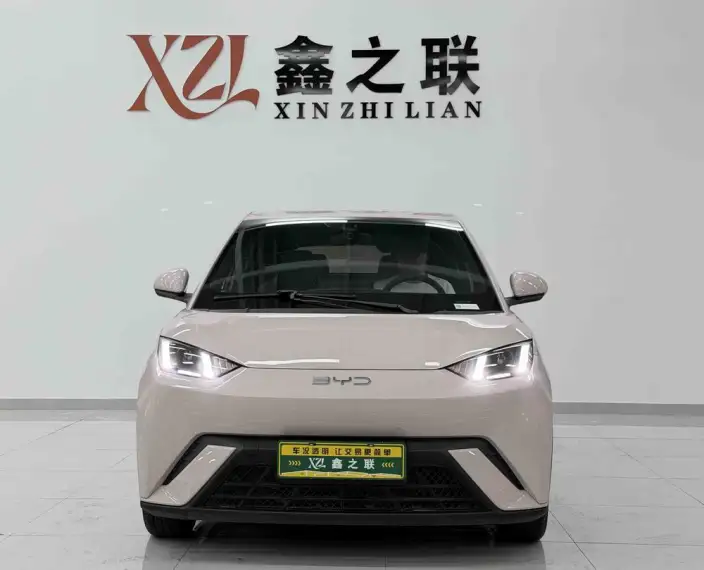 BYD Seagull 2024 Model Honor Edition 305KM Vitality Edition