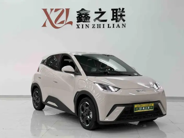 BYD Seagull 2024 Model Honor Edition 305KM Vitality Edition