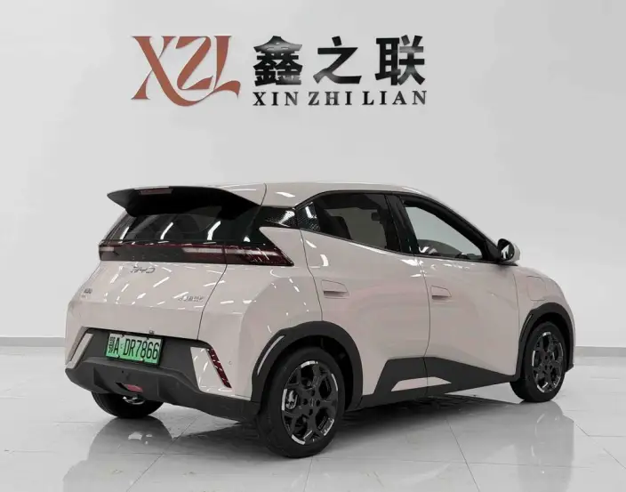 BYD Seagull 2024 Model Honor Edition 305KM Vitality Edition – фото 6