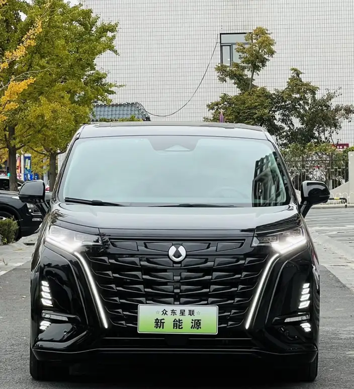 DENZA D9 DM 2022 Model 970 4WD Zunrong Model – фото 2