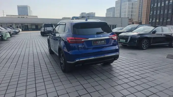 Hongqi HS5 2022 Model 2.0T Smart Flag Enjoy Edition – фото 5