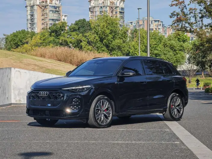 Audi Q5L 2026 Model 2.0T 10M Users Edition Edition – фото 1