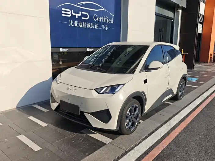 BYD Seagull 2025 Model Smart Driving Edition 305KM Free Edition – фото 1