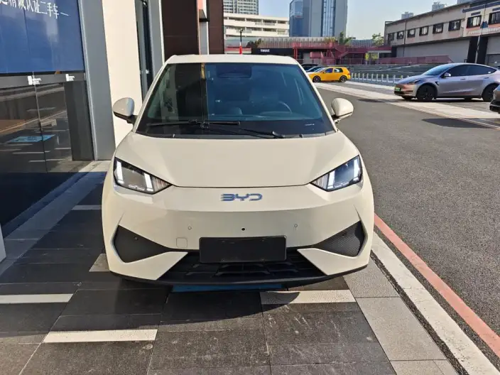 BYD Seagull 2025 Model Smart Driving Edition 305KM Free Edition – фото 2