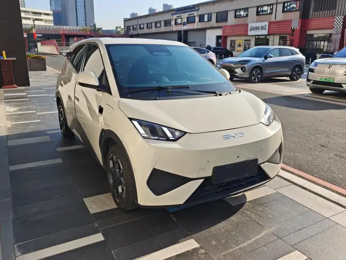 BYD Seagull 2025 Model Smart Driving Edition 305KM Free Edition – фото 3