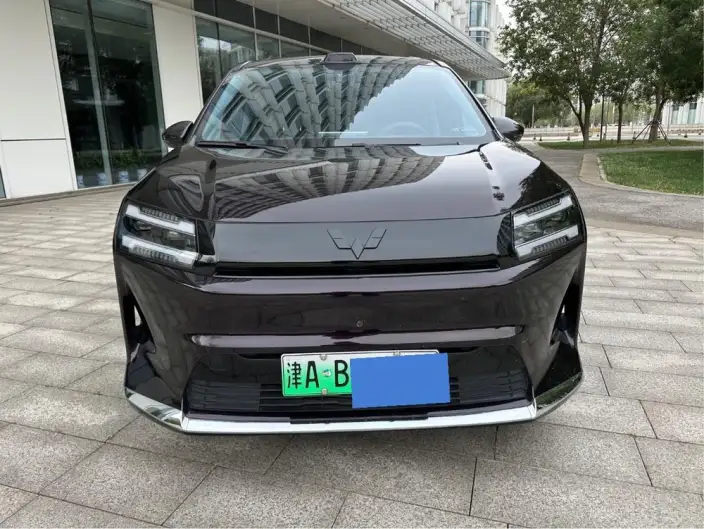 Xingguang 730 EV 2025 Model 500km Luxury Model